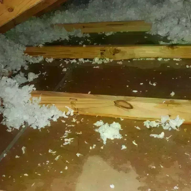 Attic Water Damage in Pleasant Hill, PA